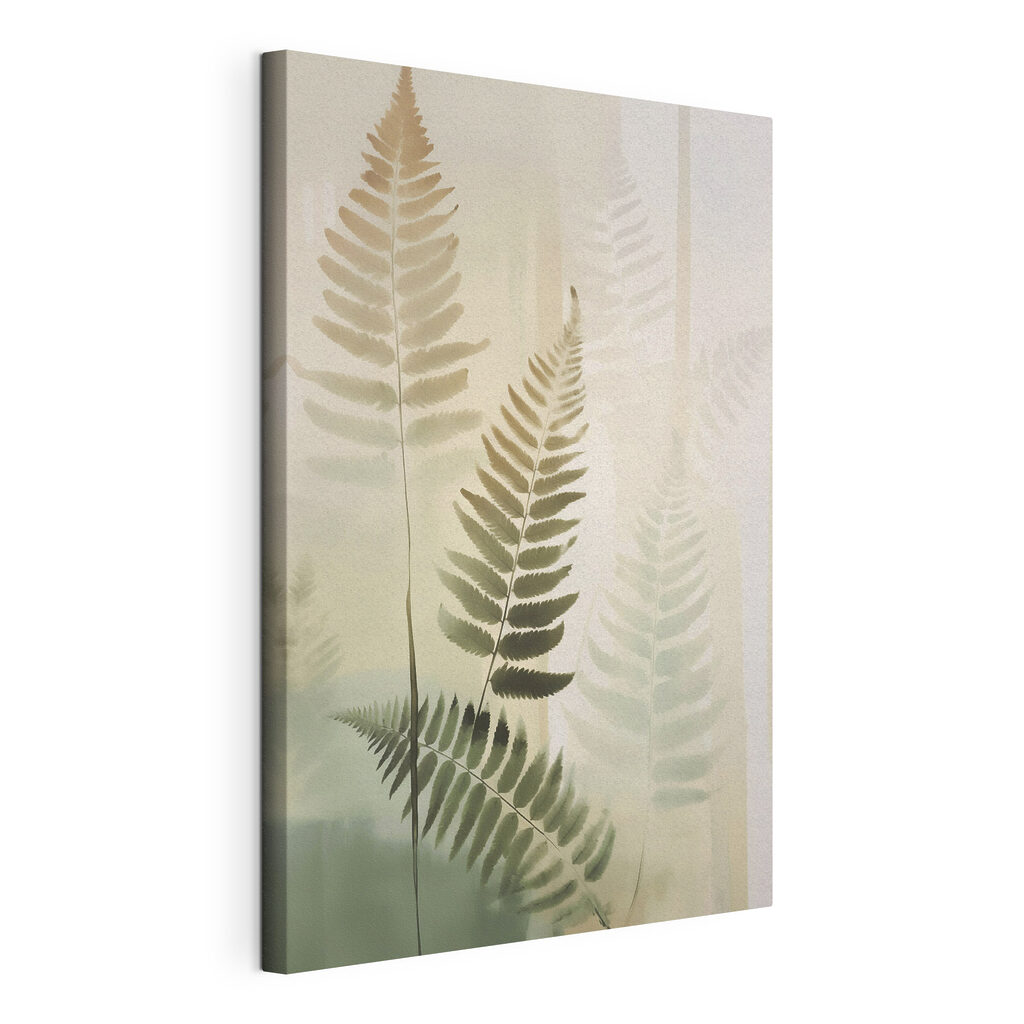 Fern leaves on a white background
