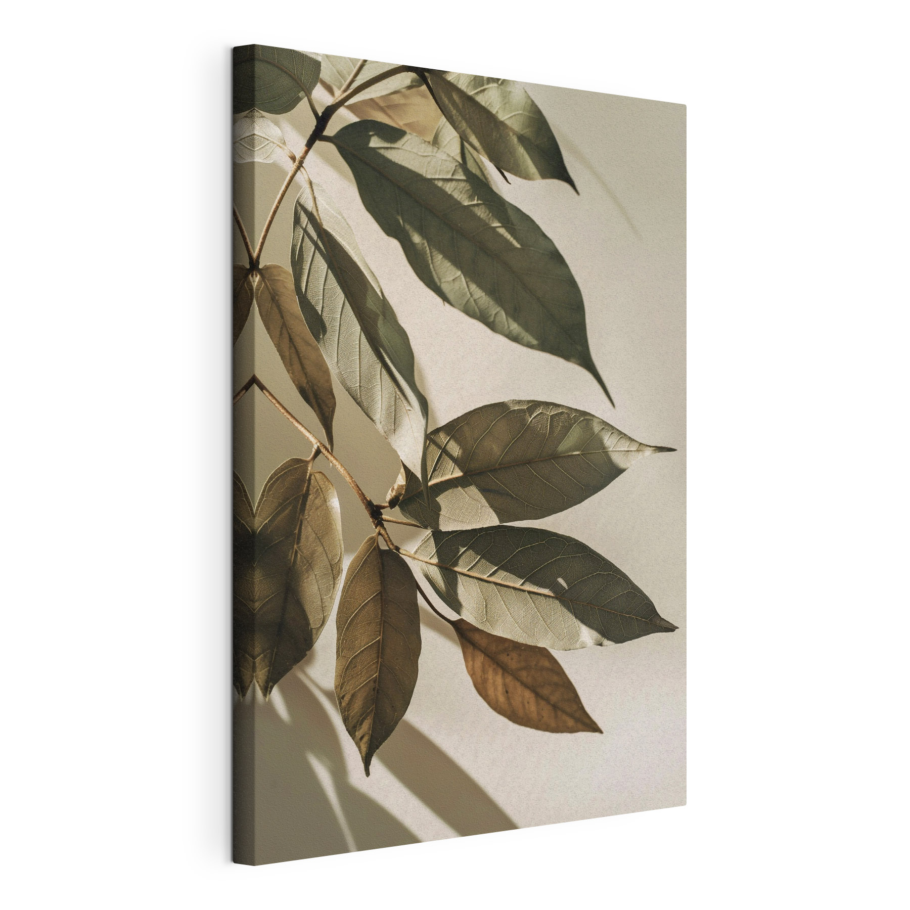 Nature's beauty captured in delicate leaves