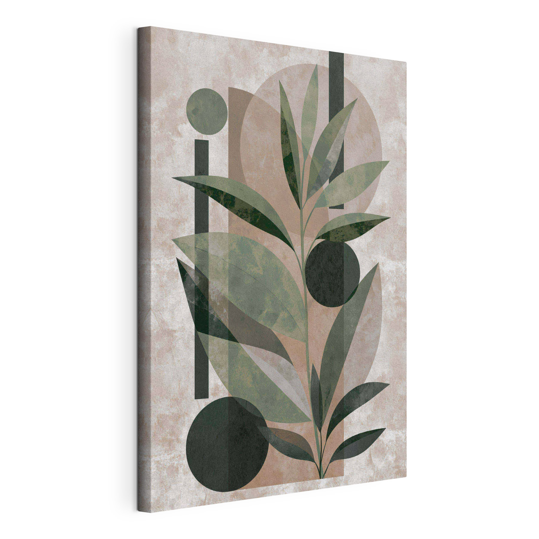 Painting of a plant with leaves and geometric shapes Painting of a plant with leaves and geometric shapes