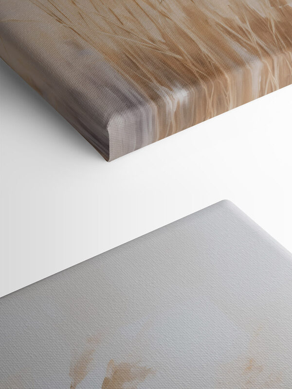 Delicate grasses in soft hues Delicate grasses in soft hues