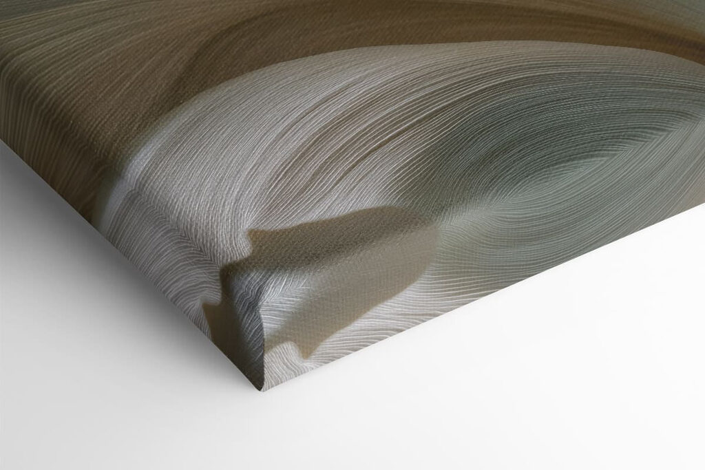 Nature's delicate wave-like patterns