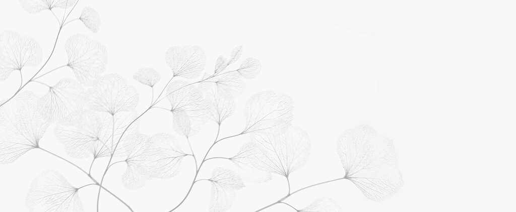 White leafy plant with thin branches