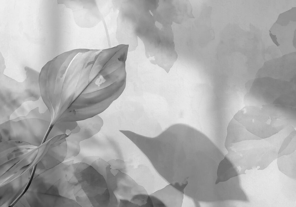 Serene leaves in soft light Serene leaves in soft light
