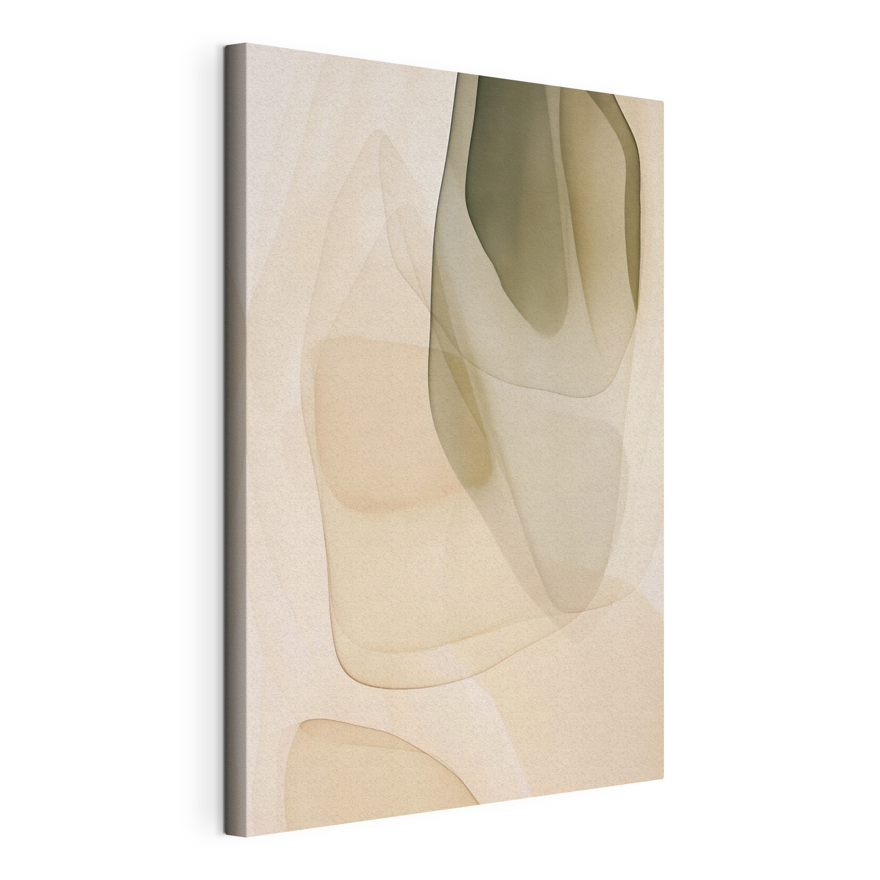 Soft curves in gentle hues Soft curves in gentle hues