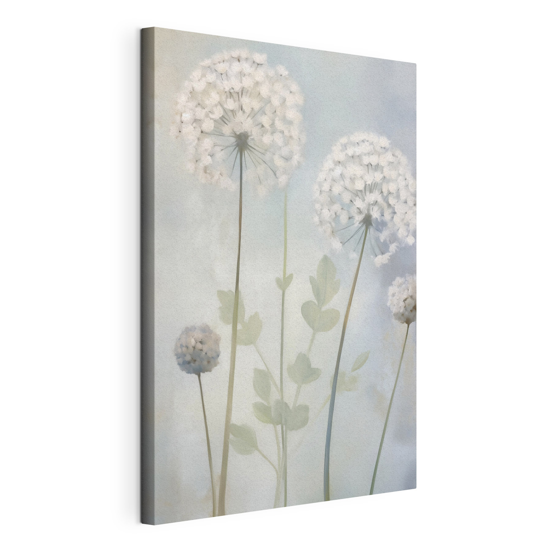 Painting of white flowers Painting of white flowers