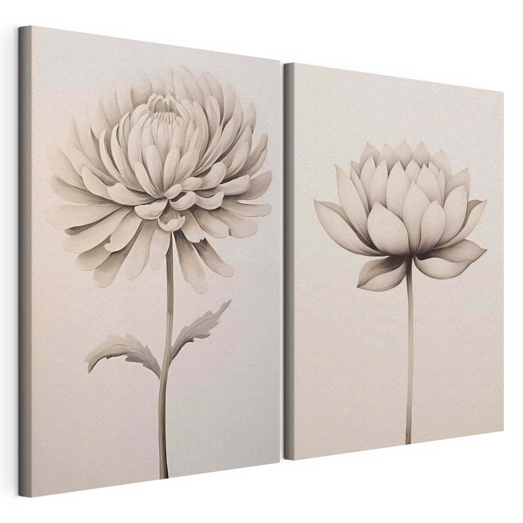 Delicate flowers in soft hues
