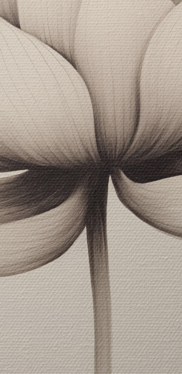 Delicate flowers in soft hues