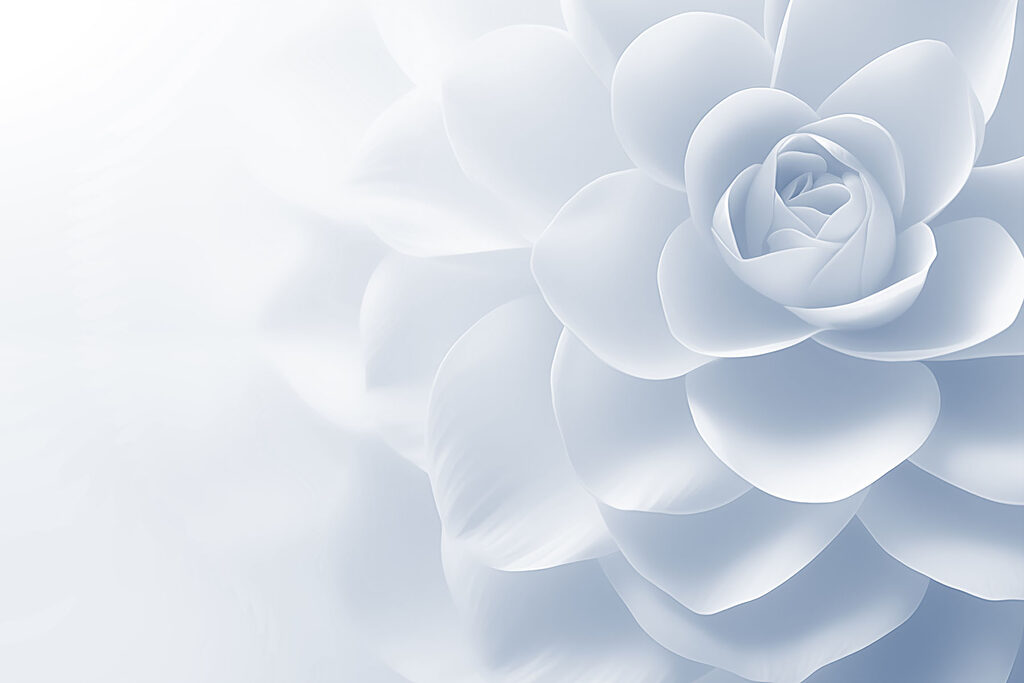 Delicate petals in soft shades