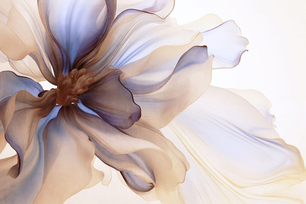 Delicate petals in soft harmony