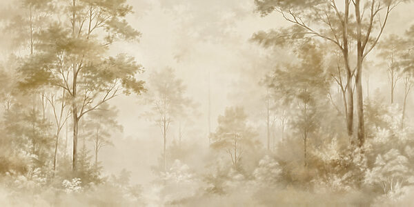 Foggy forest with trees
