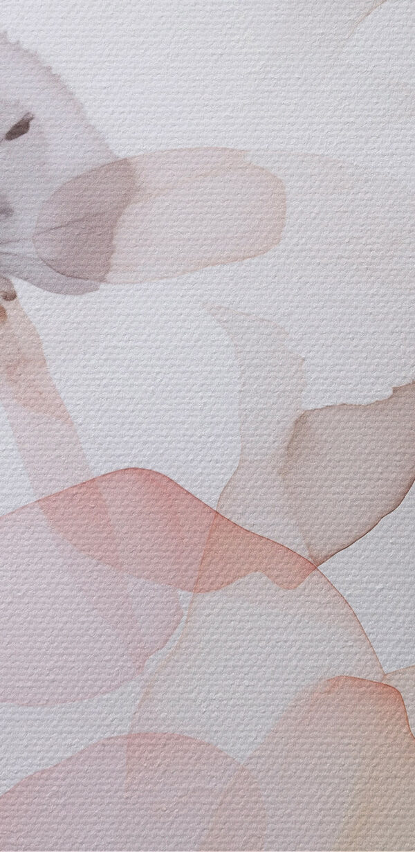 Soft petals in delicate harmony