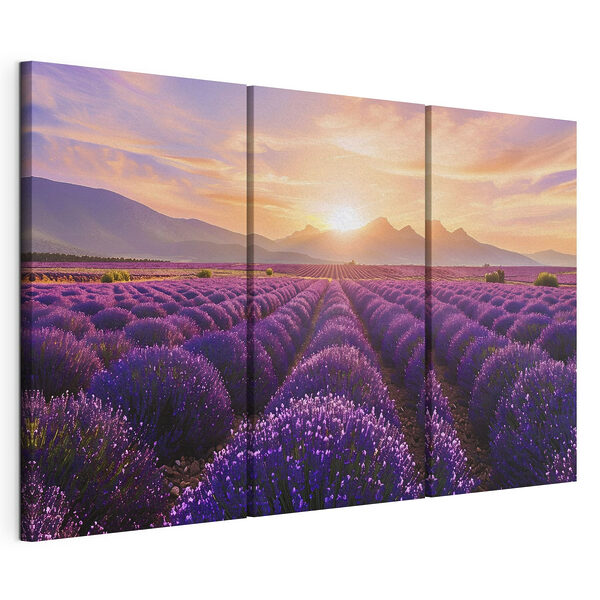 Lavender field with mountains in the background