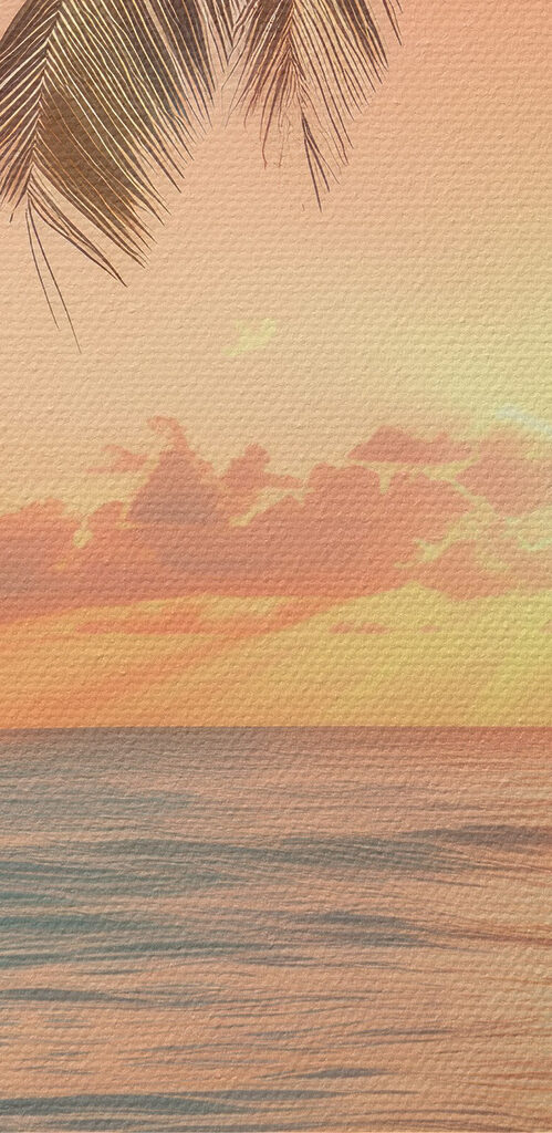 Palm tree on a beach