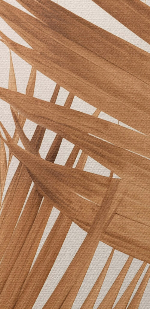 Nature's elegance in subtle hues