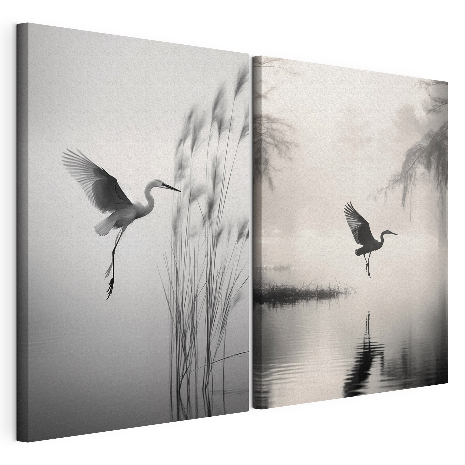 Bird flying over water Bird flying over water