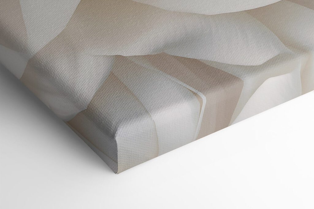 - Elegant petals in soft white hues