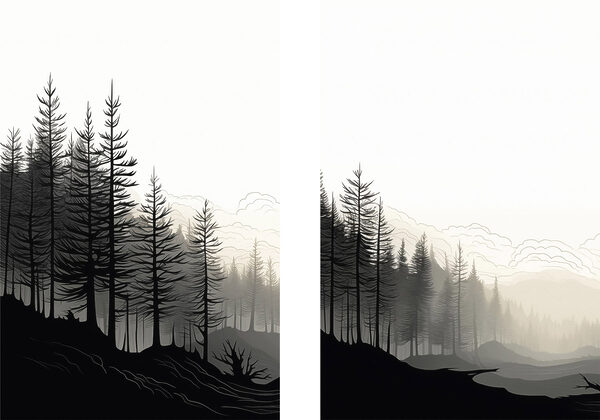 Black and white image of a forest Black and white image of a forest