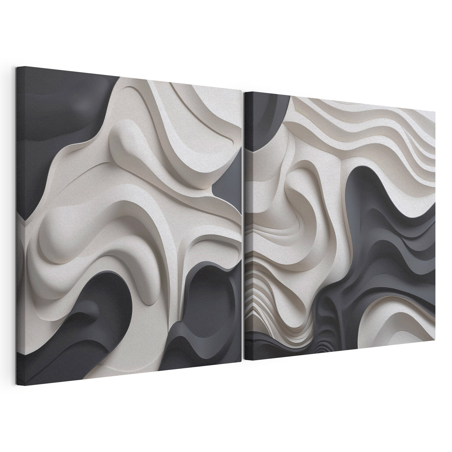 - Fluid shapes in monochrome tones - Fluid shapes in monochrome tones