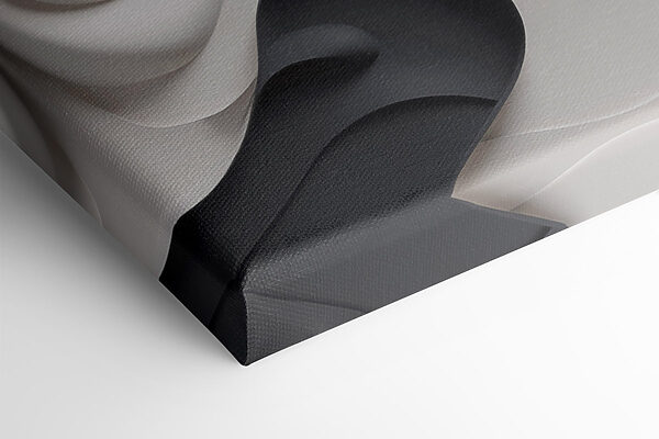 - Fluid shapes in monochrome tones - Fluid shapes in monochrome tones