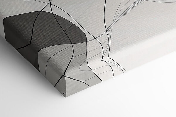 Dynamic lines create soft harmony Dynamic lines create soft harmony