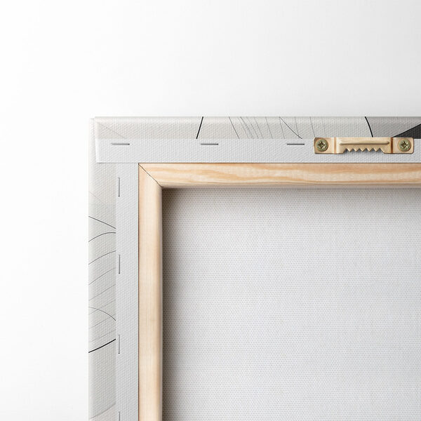 Dynamic lines create soft harmony Dynamic lines create soft harmony