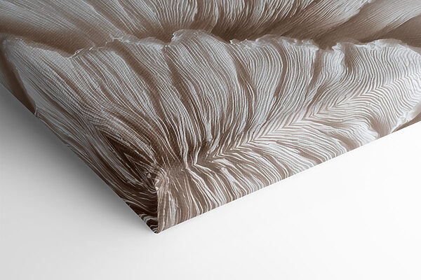 - Elegant forms in soft hues - Elegant forms in soft hues