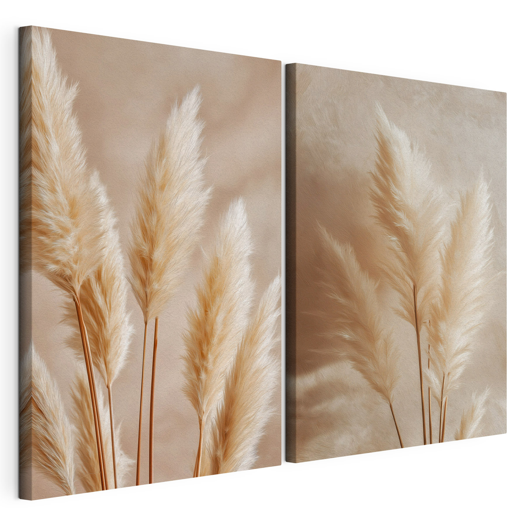 Delicate feathery plants in harmony Delicate feathery plants in harmony