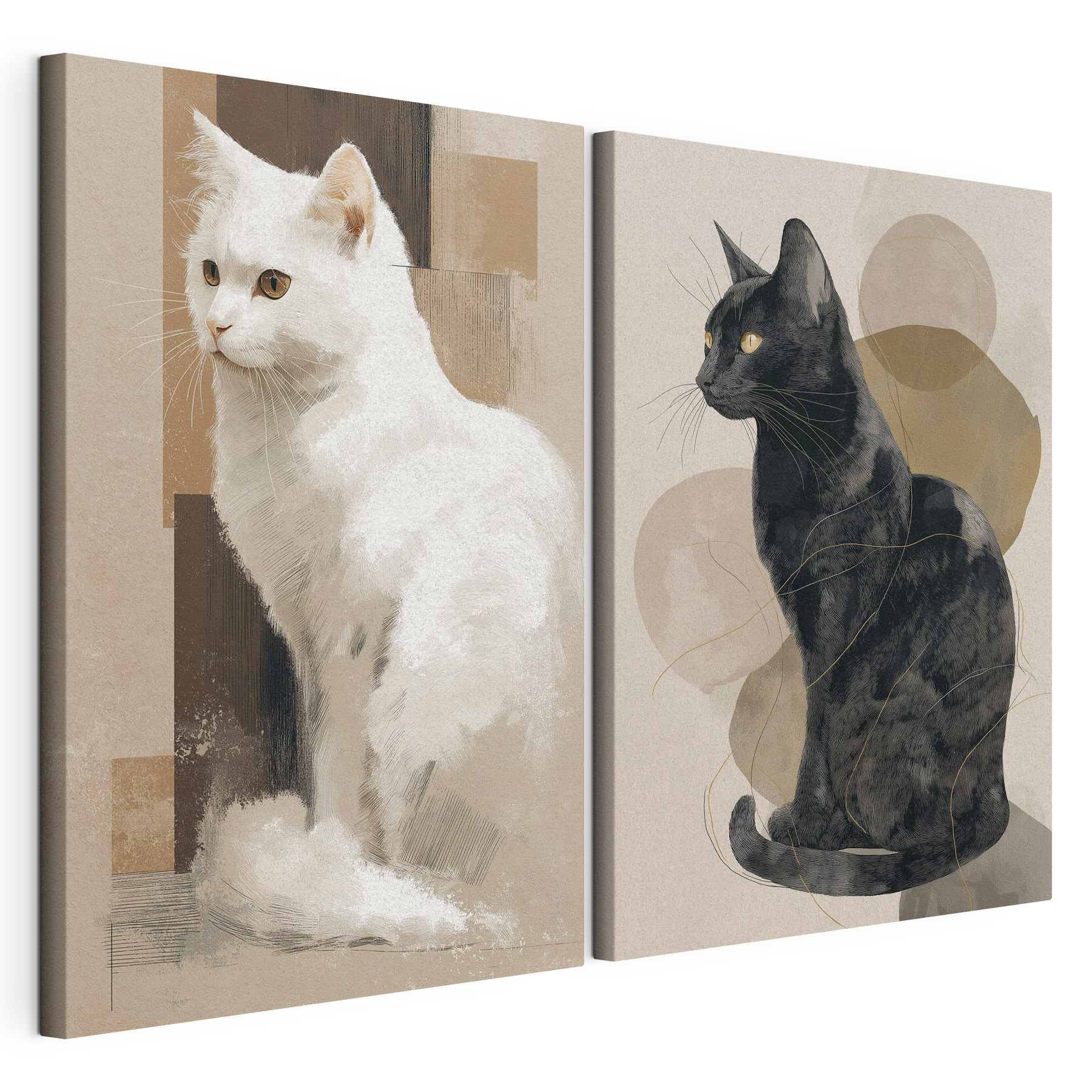 White cat and black cat White cat and black cat