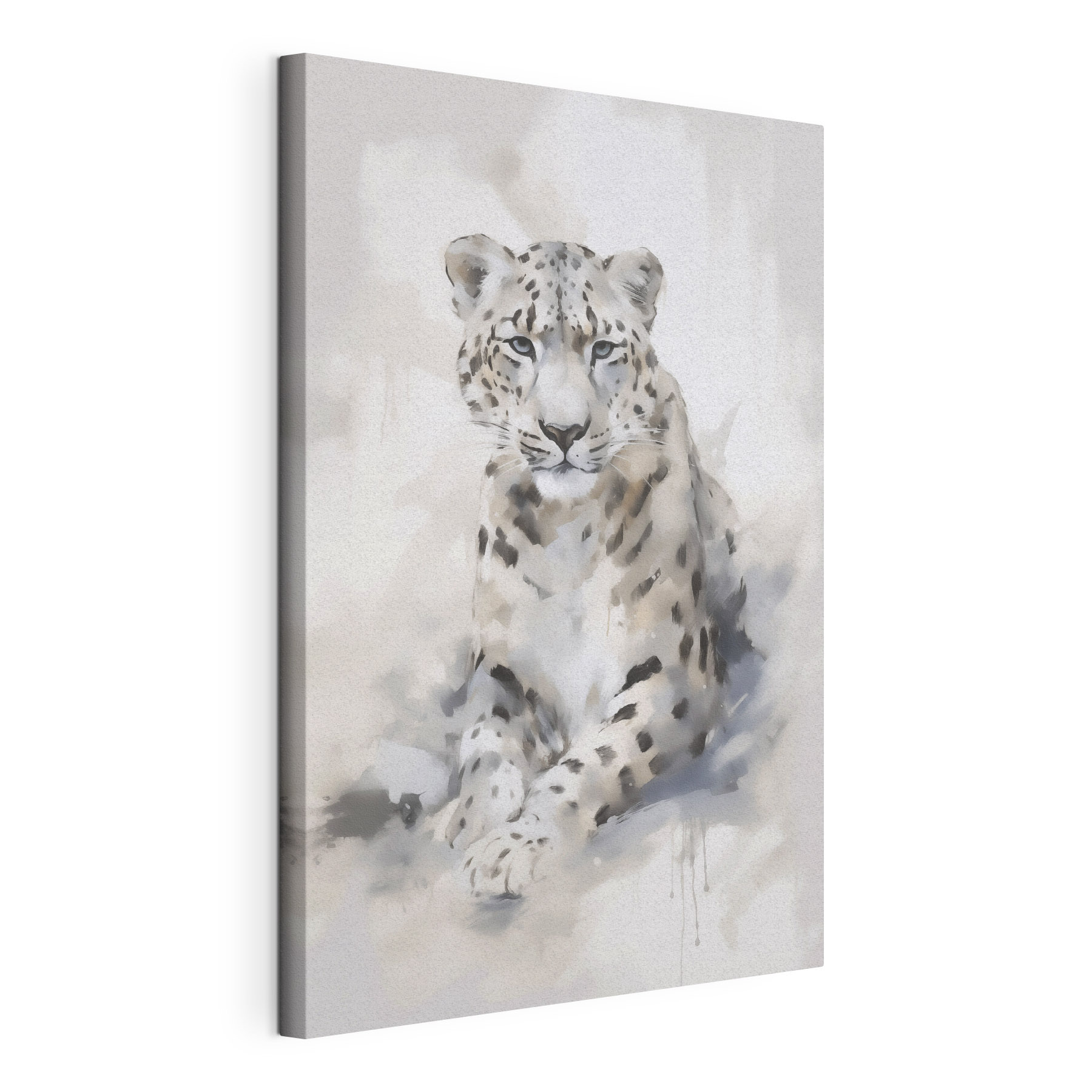 White leopard lying down