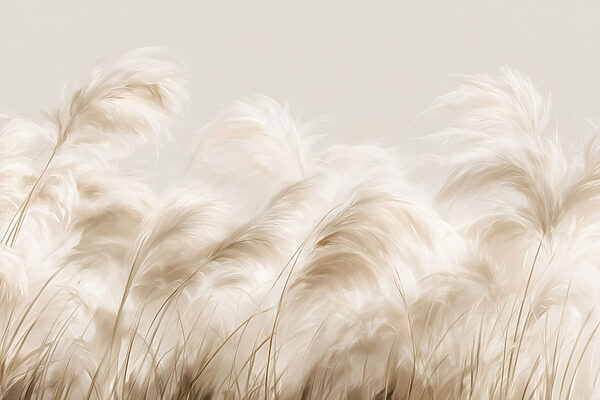 Soft grasses swaying in the breeze