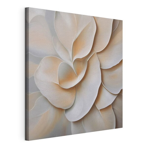 Soft petals in gentle hues Soft petals in gentle hues