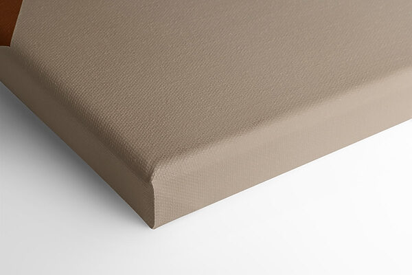 Soft curves and warm tones blend