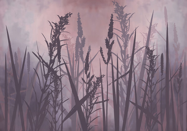 Silhouette of tall grass Silhouette of tall grass