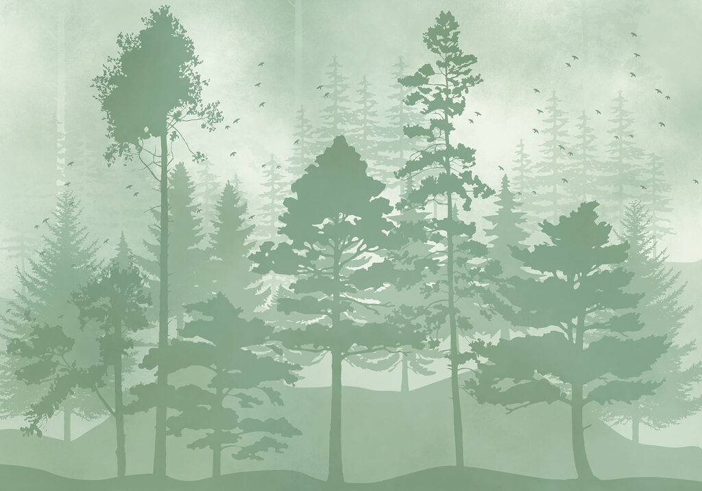 Group of trees in a forest