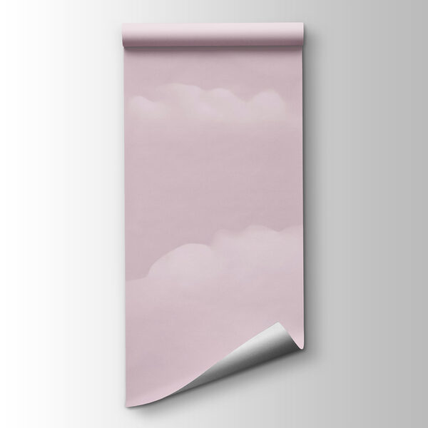 Pink sky with clouds Pink sky with clouds
