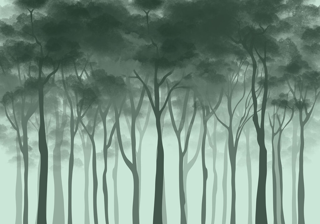 Group of trees in a foggy forest