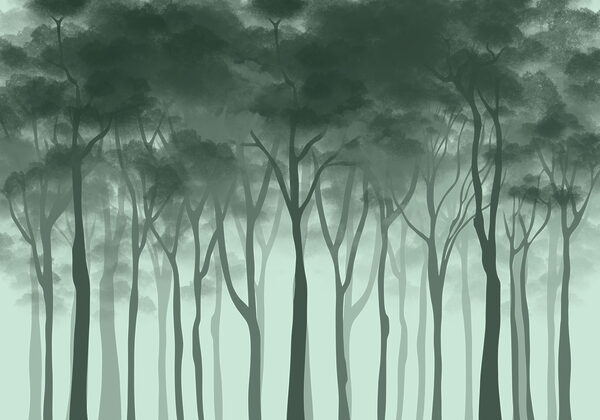 Group of trees in a foggy forest