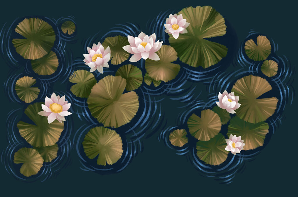 Lily pads in a pond