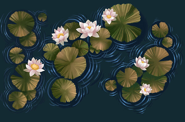Lily pads in a pond