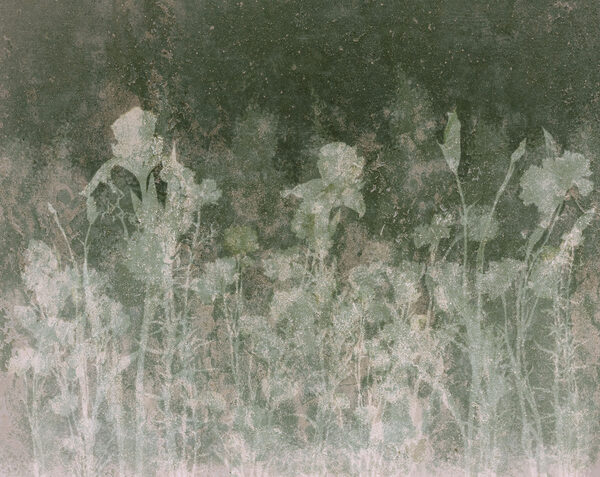 Fototapeta Vybledlé květiny v jemných zelených odstínech (Katalogové číslo: t01116v3) Fototapeta Vybledlé květiny v jemných zelených odstínech (Katalogové číslo: t01116v3)